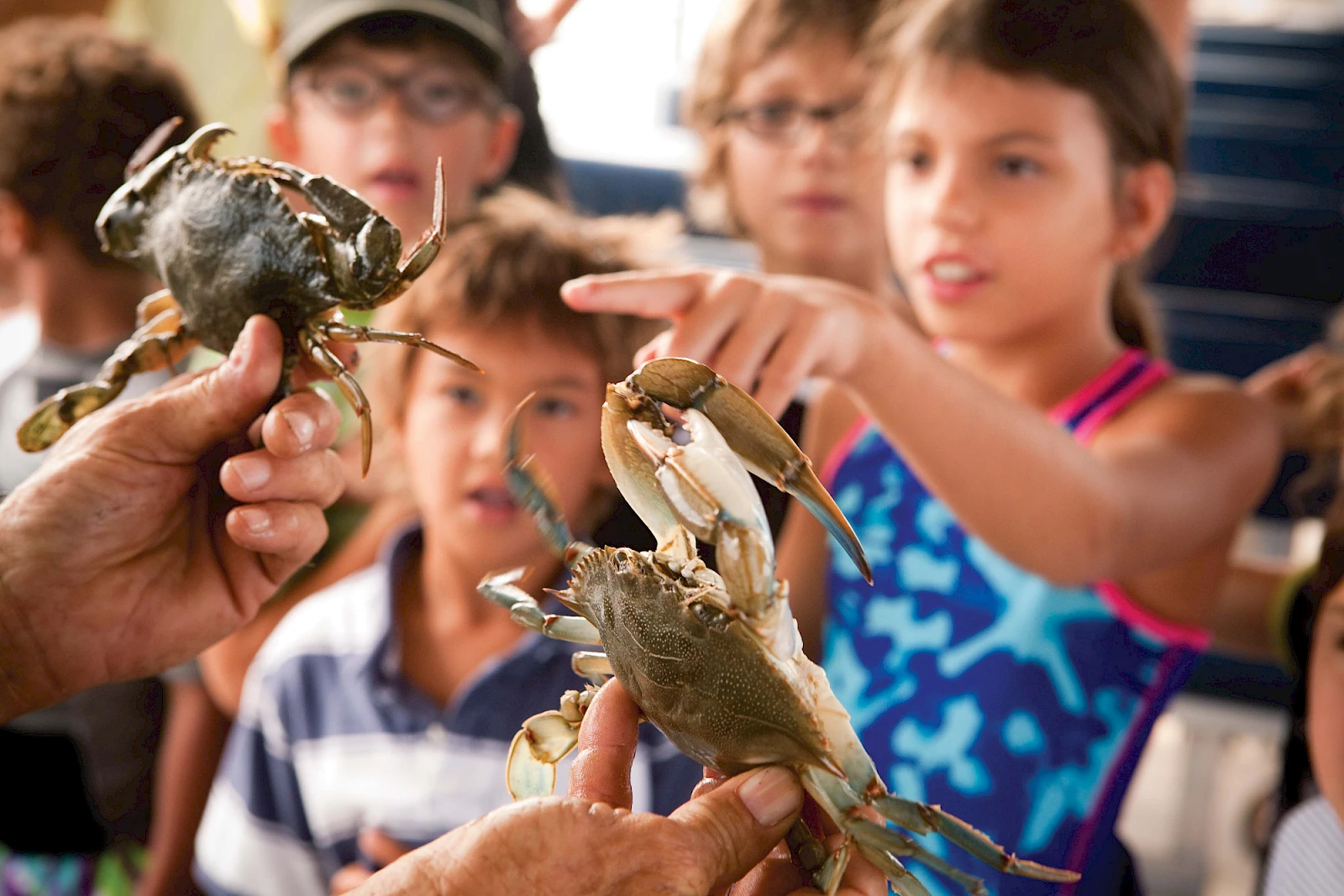 A person shows a tiny crab to a group of curious kids during a hands-on marine biology demonstration.