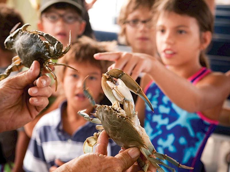 A person shows a tiny crab to a group of curious kids during a hands-on marine biology demonstration.