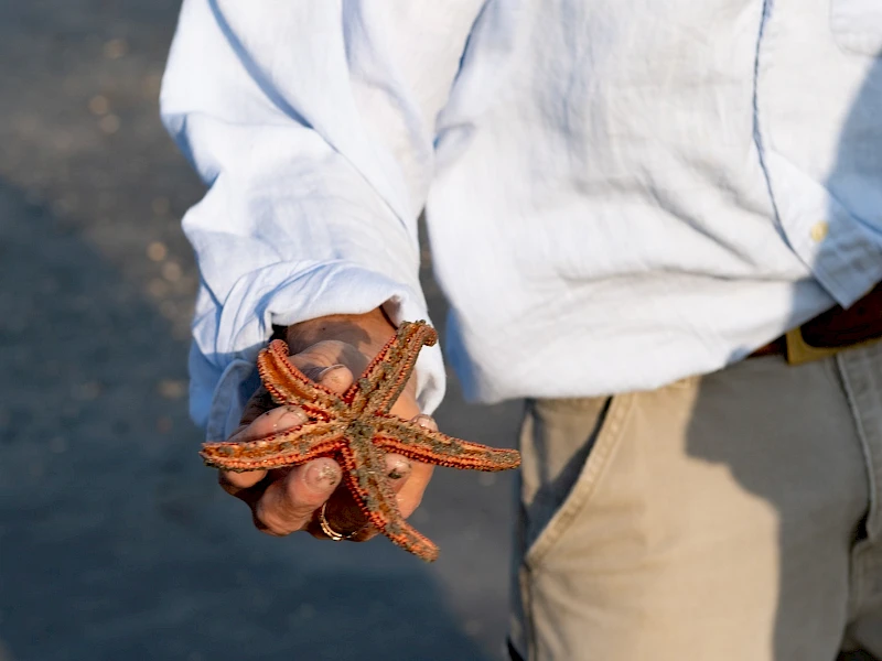 A person wearing a light shirt and khaki pants holds a starfish by the beach, showing its orange-brown arms.