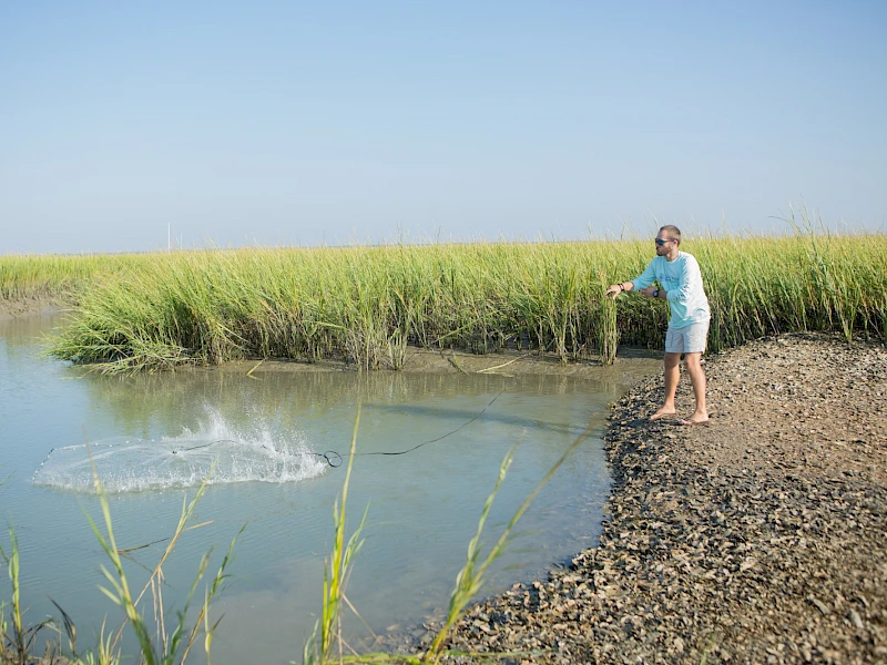 A girl in a blue dress stands on a rocky shore by a calm marsh, fishing or casting into a small pond with tall grasses in the background.