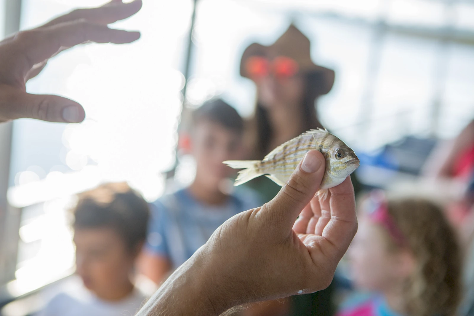 A person holds a small fish up for display as onlookers watch in the background, river or harbor setting, bright daylight.