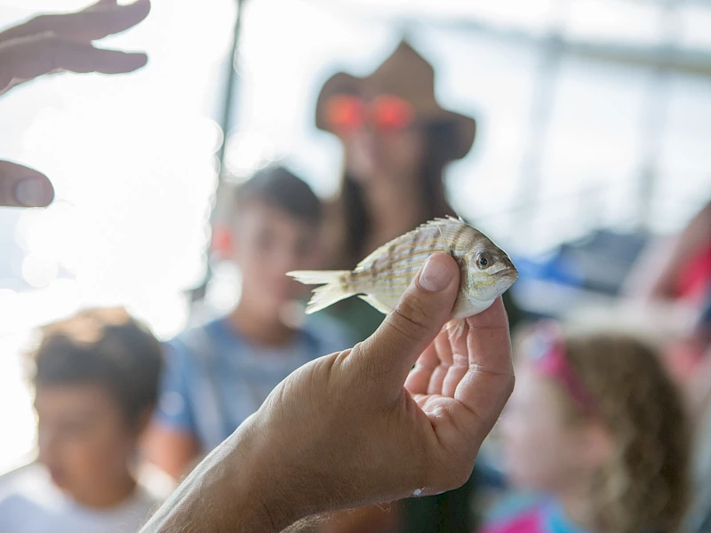 A person holds a small fish up for display as onlookers watch in the background, river or harbor setting, bright daylight.