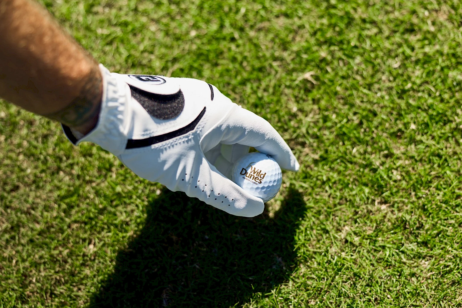 A gloved hand holds a golf ball over a green grass field, ready to place or tee off.