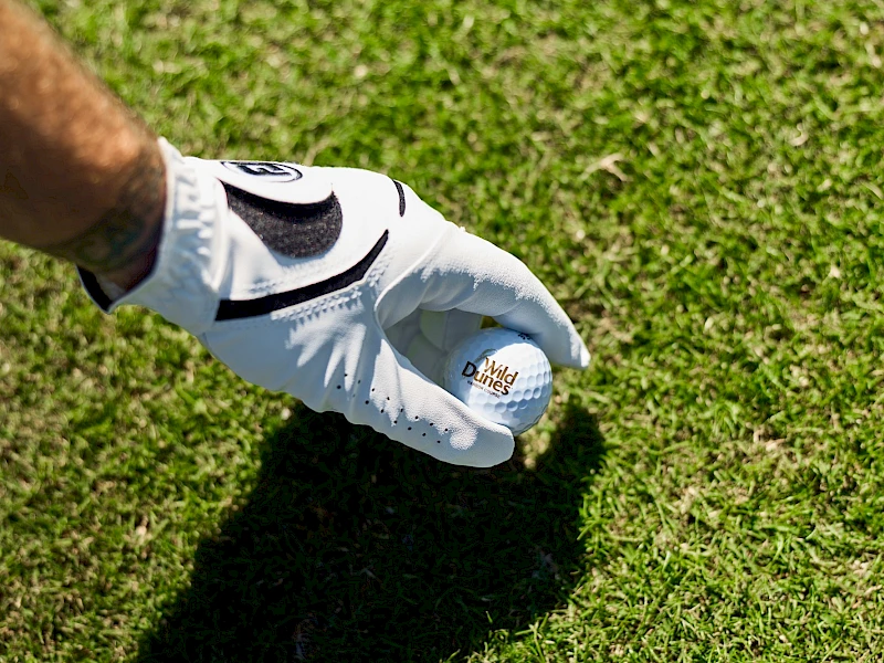 A gloved hand holds a golf ball over a green grass field, ready to place or tee off.