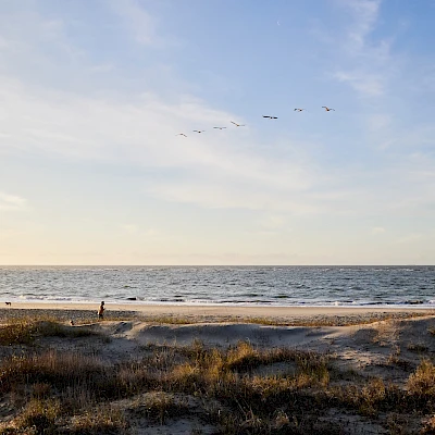 A tranquil beach at dusk with a few figures near the shore, calm waves, and a flock of birds flying in a V across the sky.