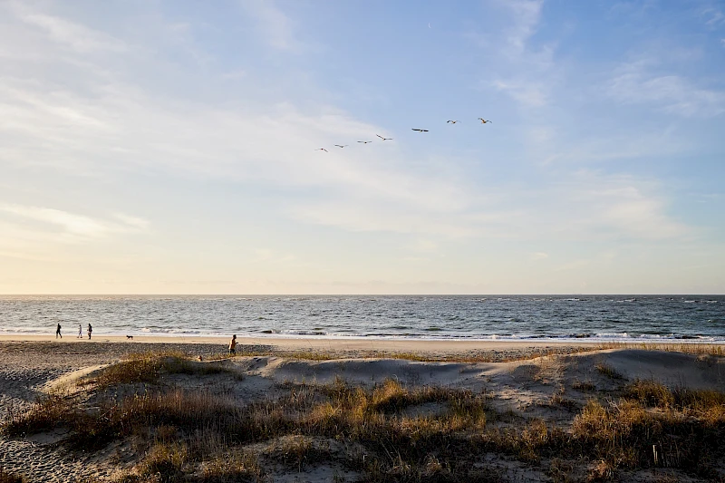 A tranquil beach at dusk with a few figures near the shore, calm waves, and a flock of birds flying in a V across the sky.