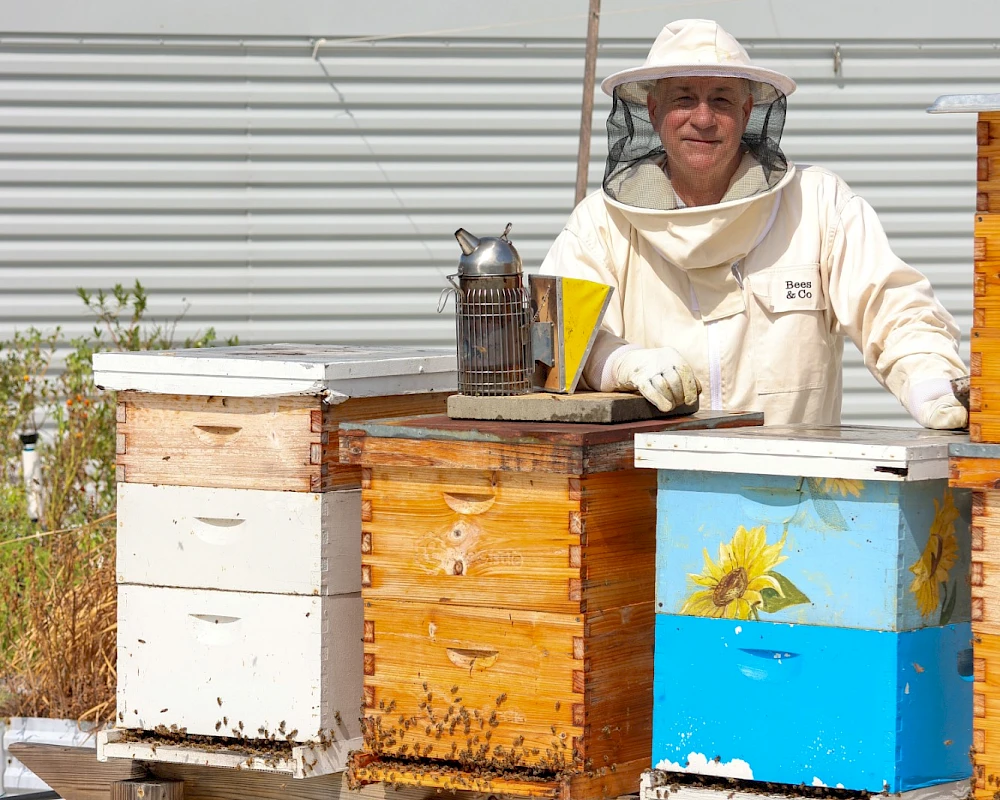 A beekeeper in a white suit tends multiple wooden beehives on stilts, with one blue-painted hive, a metal smoker, and a clear sky behind.