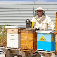 A beekeeper in a white suit tends multiple wooden beehives on stilts, with one blue-painted hive, a metal smoker, and a clear sky behind.