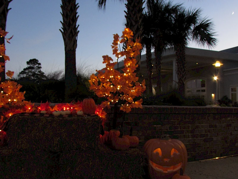 A Halloween scene at dusk with lit orange pumpkins and a small jack-o'-lantern on the ground, palm trees, and glowing orange lights.