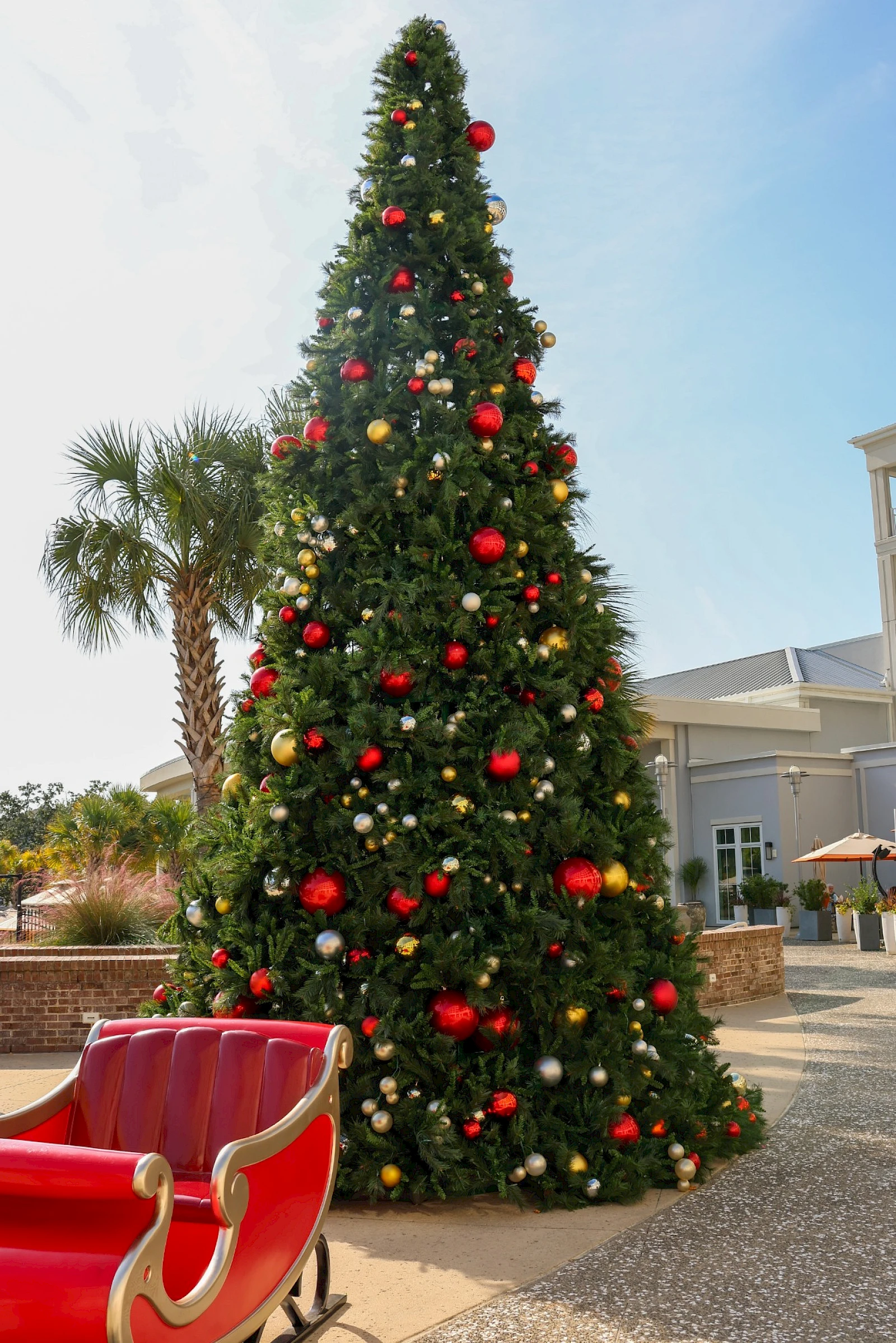 A tall decorated Christmas tree with red and gold ornaments stands near a patio, with a red sleigh in the foreground and sunny landscaping.