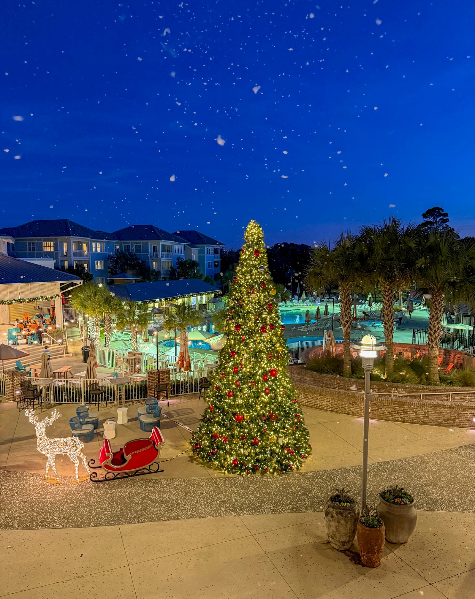 A festive outdoor scene with a tall Christmas tree, twinkling lights, a sleigh cutout, and people by a pool area under a starry night sky.