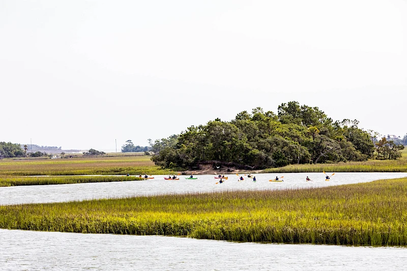A calm marsh with a small green island of trees, and people kayaking on the shallow water among grassy tidal channels.