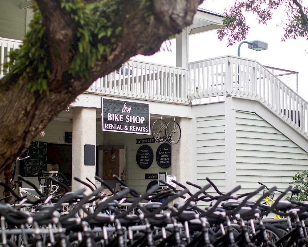 Row of bicycles parked in front of a bike shop under a large tree; white building with a staircase in the background.