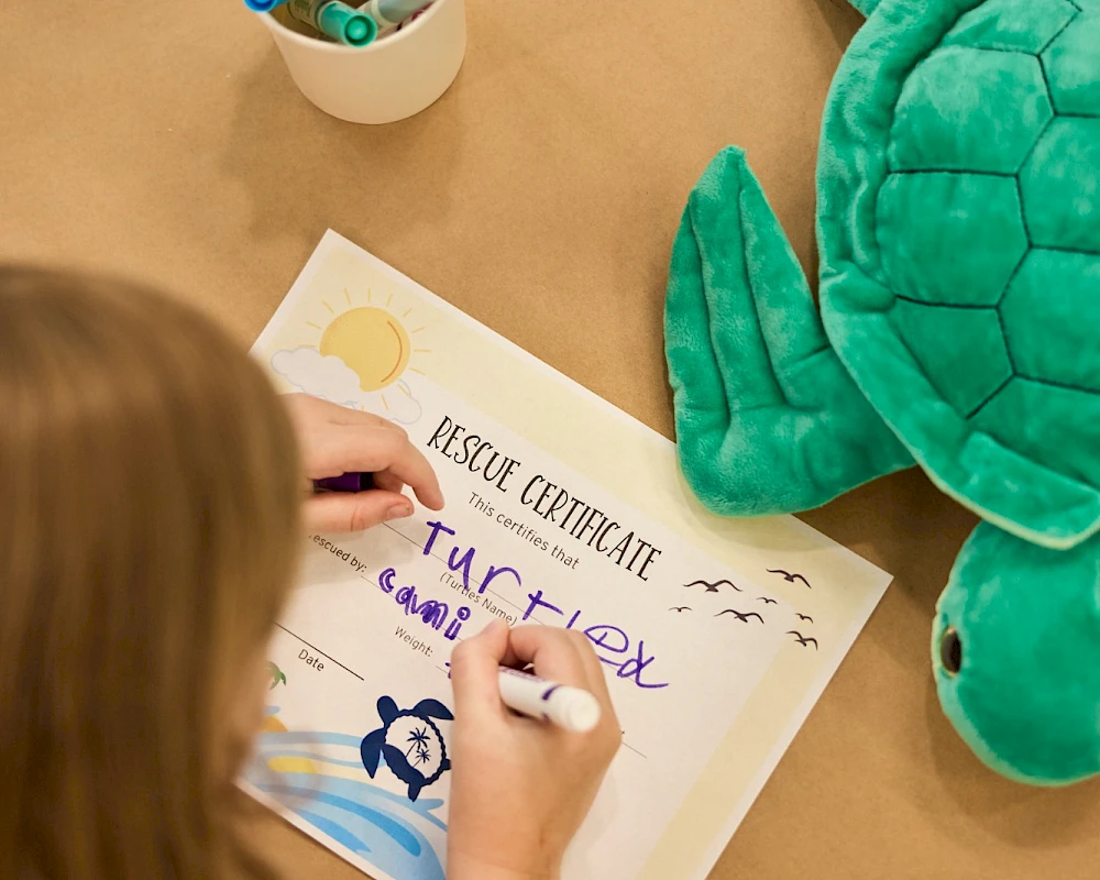 A child draws a certificate with "Turtle" on it, colored markers in a cup, and a plush green turtle toy nearby on a table.