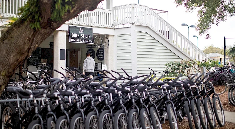 Bike Rentals