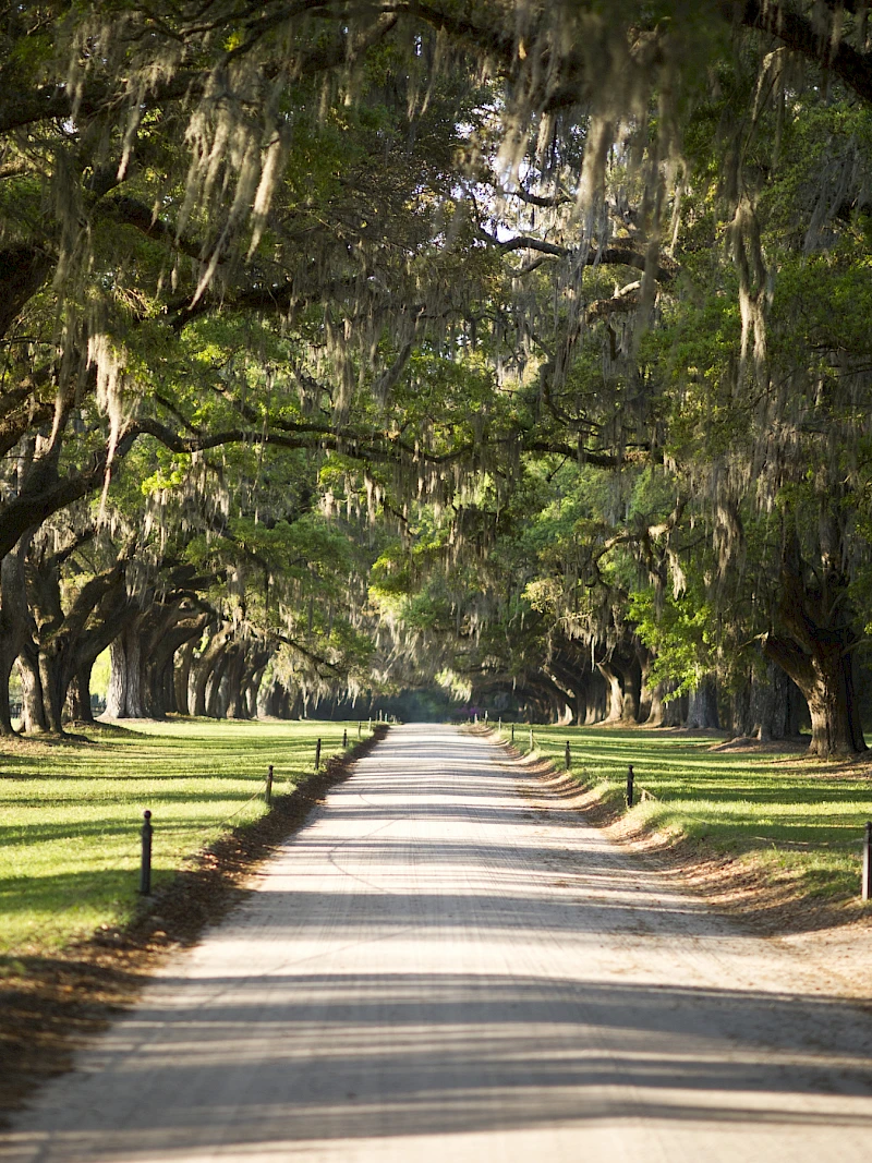 Boone Hall Plantation & Gardens