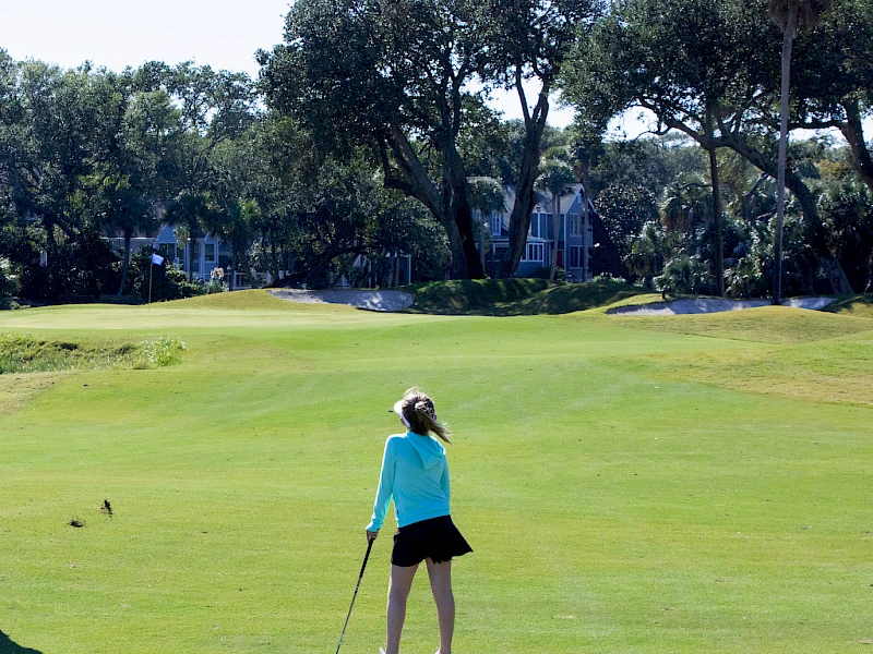 A golfer stands on a green fairway ready to swing, with trees and blue skies in the background.