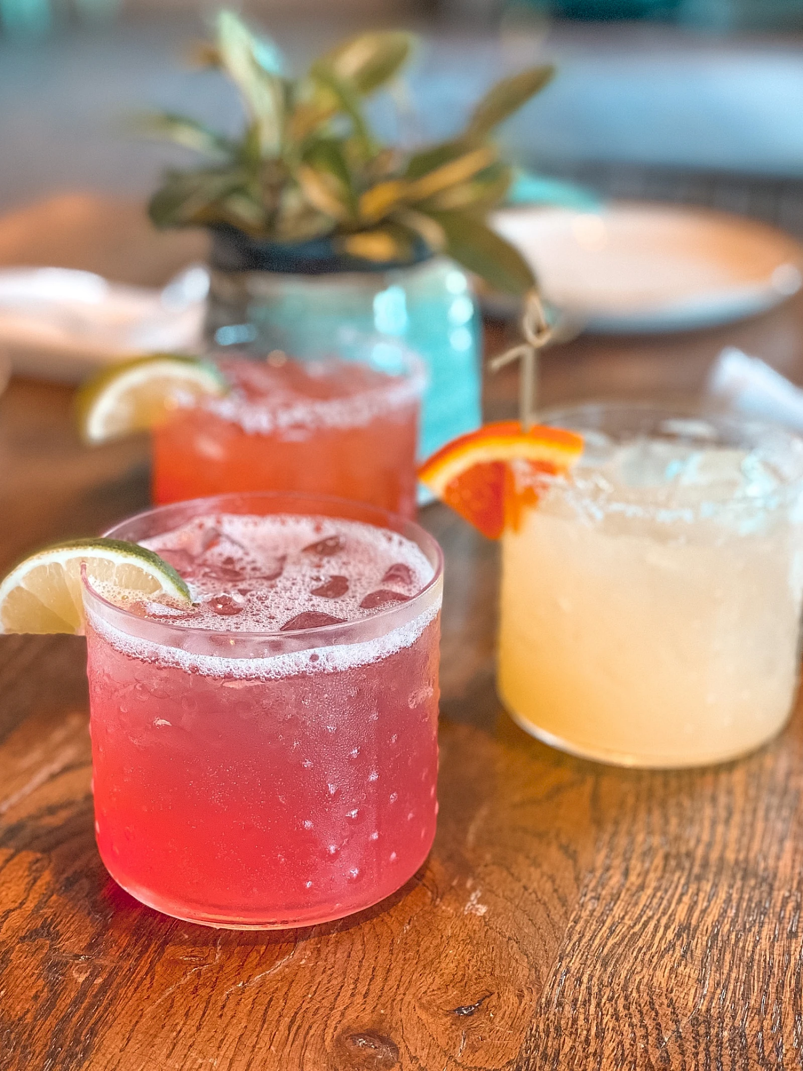 Three colorful cocktails on a wooden table, with garnishes of lemon and orange slices, a small plant in the background, casual bar vibe.