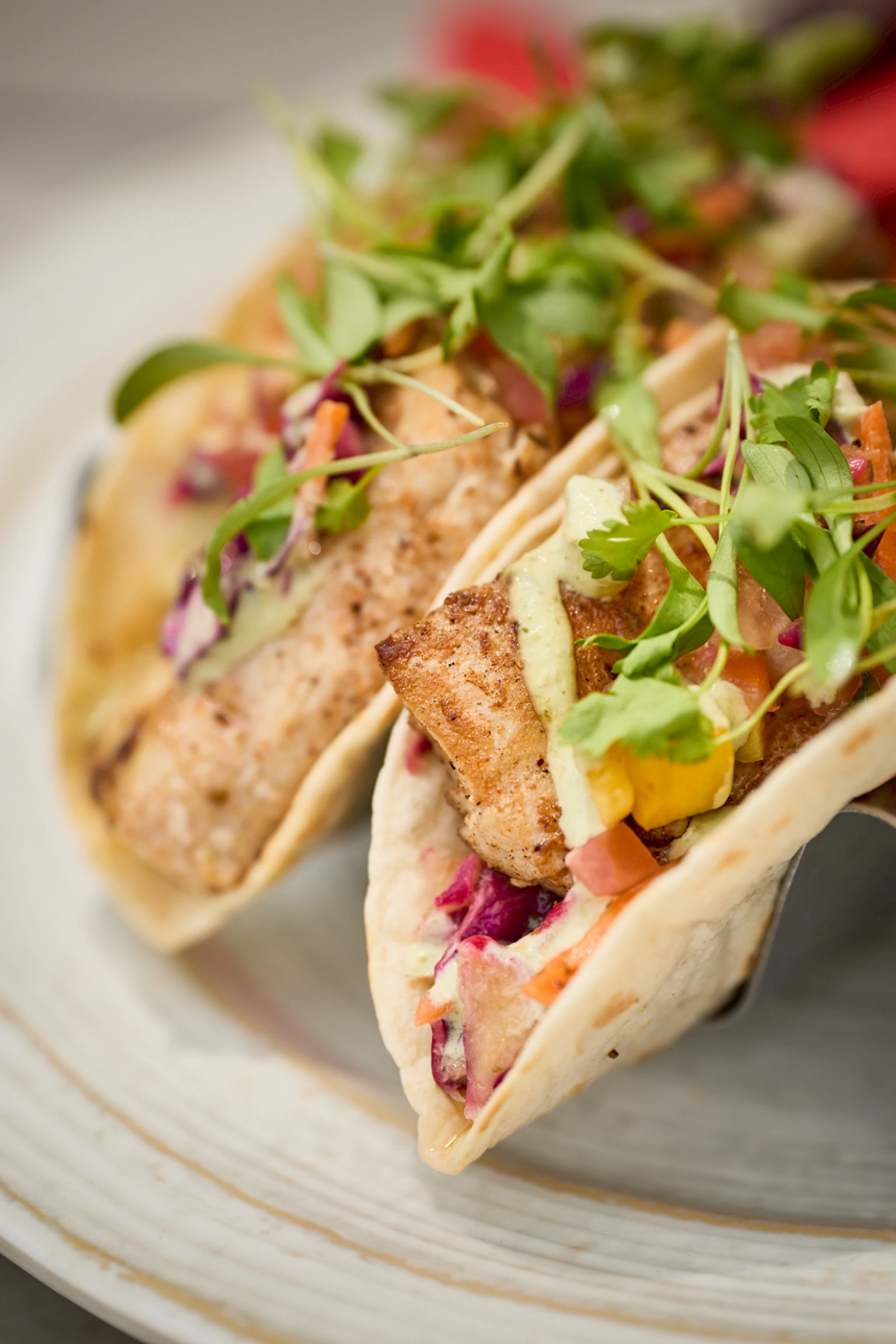 Two soft tacos filled with colorful veggies, crispy tofu or chicken, and fresh microgreens on a plate, vibrant and appetizing.