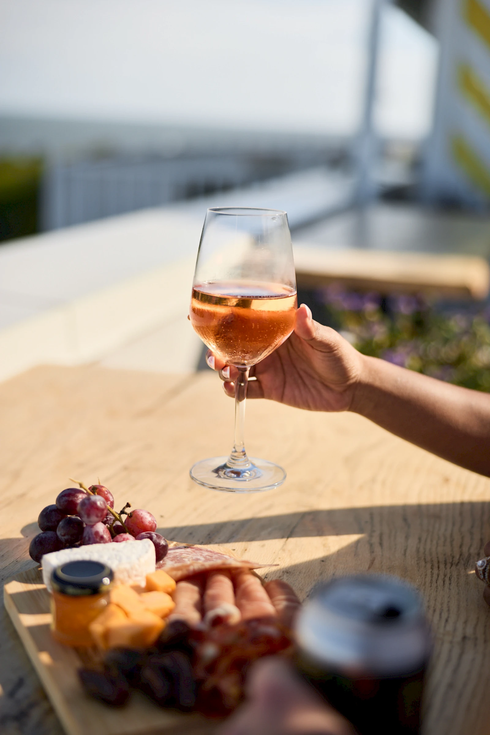 A hand raises a wine glass for a toast on a sunny table with grapes and fruit platter nearby, overlooking a bright outdoor scene.