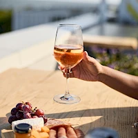 A hand raises a wine glass for a toast on a sunny table with grapes and fruit platter nearby, overlooking a bright outdoor scene.