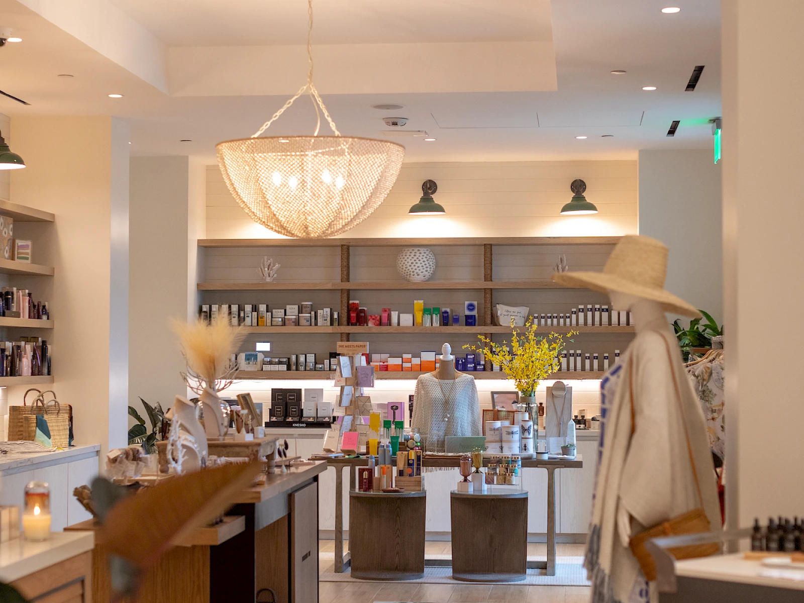 A stylish, bright interior of a boutique or cafe with warm lighting, wooden shelves, plants, a chandelier, and neatly arranged counter displays.