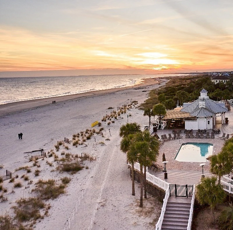 Shelling on Isle of Palms & Wild Dunes Beaches
