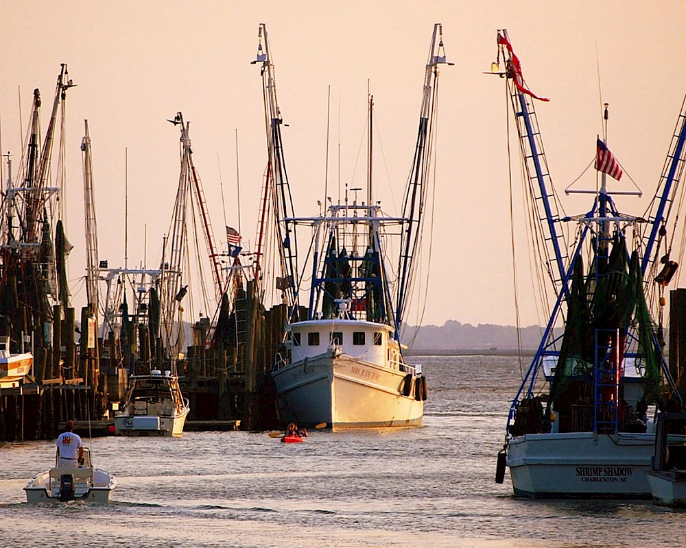 A harbor with several fishing boats docked at sunset, calm water, and a pink-orange sky, boats lined up along the quay.