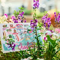 Colorful flowers frame a playful postcard among pink and purple blooms, with a cartoonish map and cheerful text on the card.