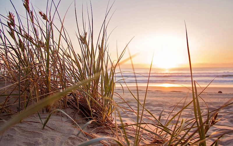 Physical & Mental Well-Being