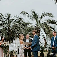 A wedding ceremony outdoors with a bride and groom exchanging vows, bridesmaids and groomsmen standing, tropical palm backdrop, officiant reading vows.