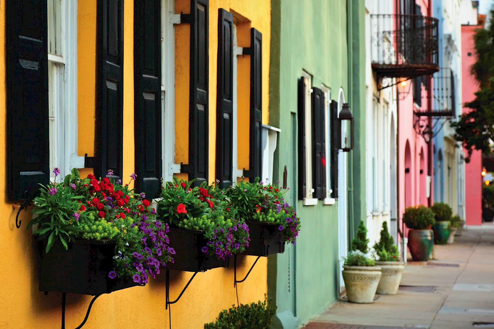 Colorful row houses with bright walls, window boxes, and potted plants line a sunny street, creating a cheerful, vibrant neighborhood vibe.