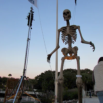 A tall skeleton perched on a pedestal beside flags, with a blue sky and people nearby on a rooftop or pier. End with a period.