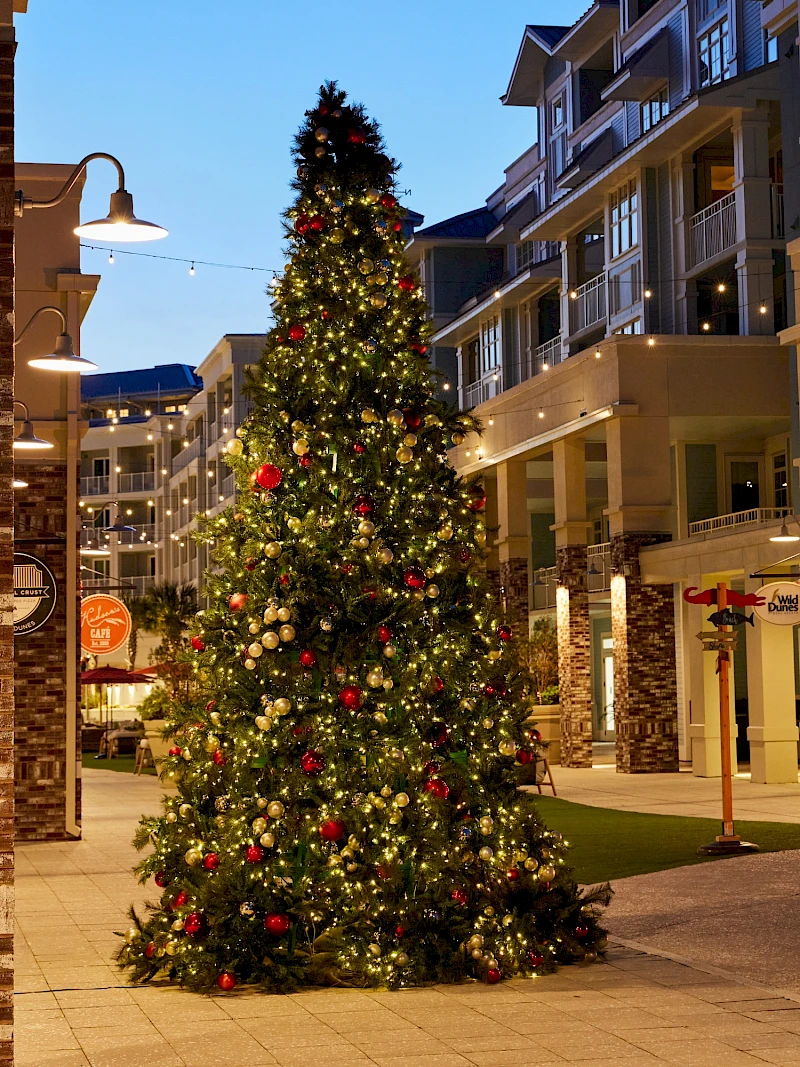 The Holiday Festival