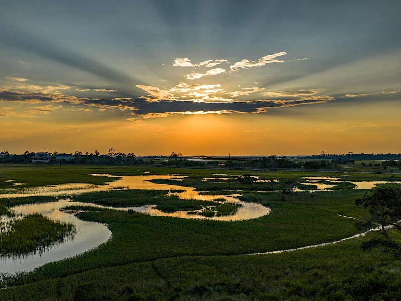 Links Course | Photo Credit Brian Walters