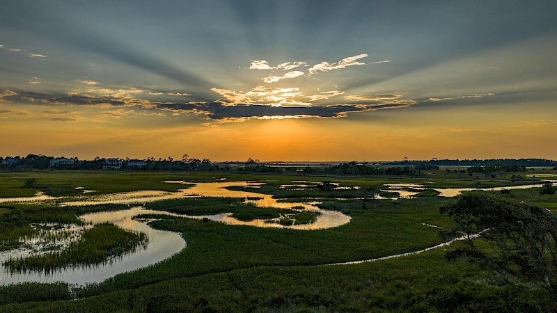 A serene wetland at sunset with winding water channels, green grasses, and a golden sky lighting the horizon.