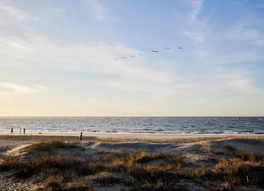 A tranquil beach at dusk with a few people near the shore, calm waves, dune grasses, and a V-formation of birds flying across a pale sky.