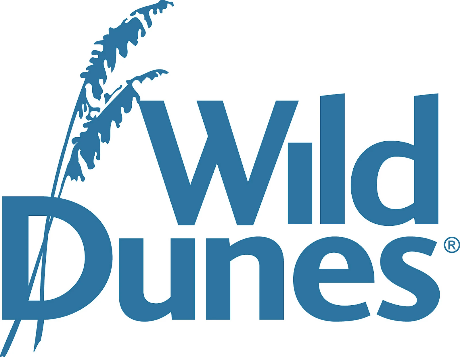 Logo for Wild Dunes with a palm silhouette integrated into the text, blue lettering on a white background.