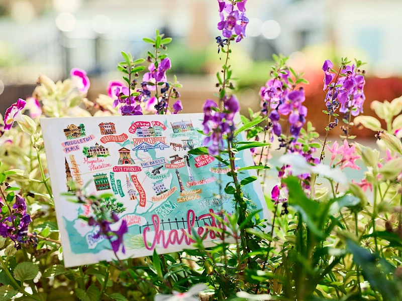 A colorful garden scene with purple flowers and a postcard tucked among the blooms, bright and cheerful in a sunlit setting.