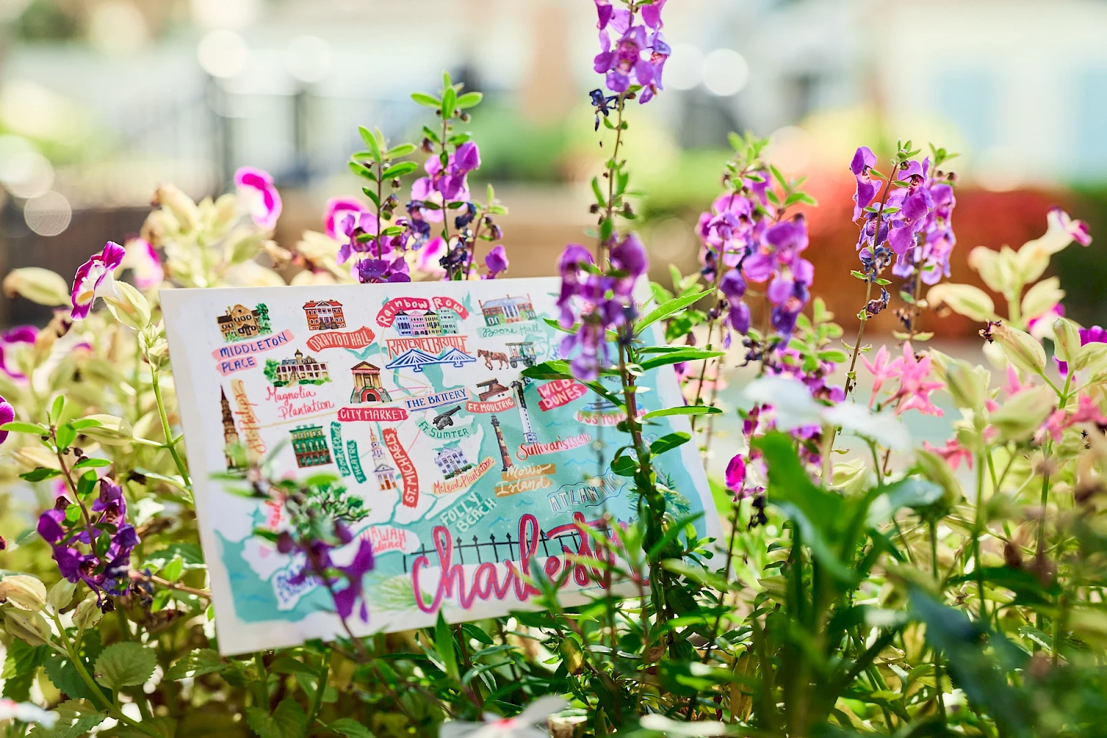 A colorful garden scene with purple flowers and a postcard tucked among green foliage, bright and cheerful, like a vacation snapshot.