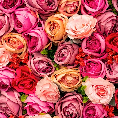 A dense bouquet of roses in shades of pink, red, peach, and cream, with green leaves peeking through—romantic floral wall of blooms.