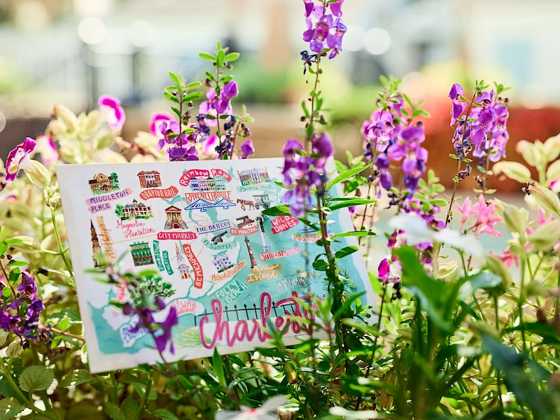 A colorful garden with pink and purple flowers surrounding a playful illustrated card floating among the leaves, bright and cheerful.