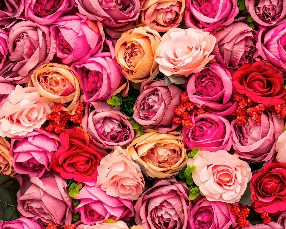A dense collage of colorful roses in shades of pink, red, peach, and cream, creating a vibrant floral bouquet.