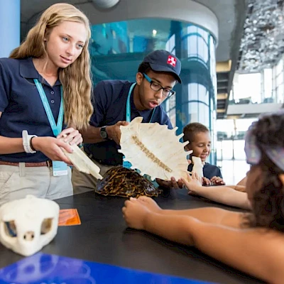 Two students demonstrate hands-on science to a child at a museum, showing bones and skull models on a table.