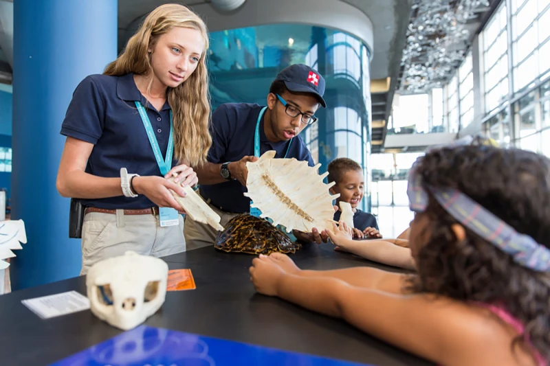 Two students examine fossils on a table with a displayed skull nearby, as a person lies on the table for a hands-on exhibit in a bright museum.