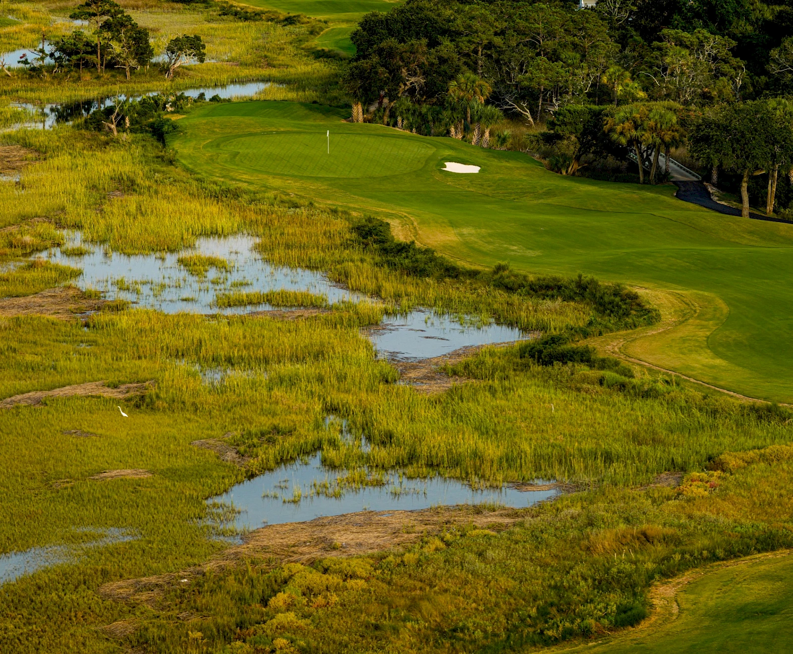 A grassy golf course with vibrant fairway, water-filled marshes, and scattered trees in a sunny landscape.