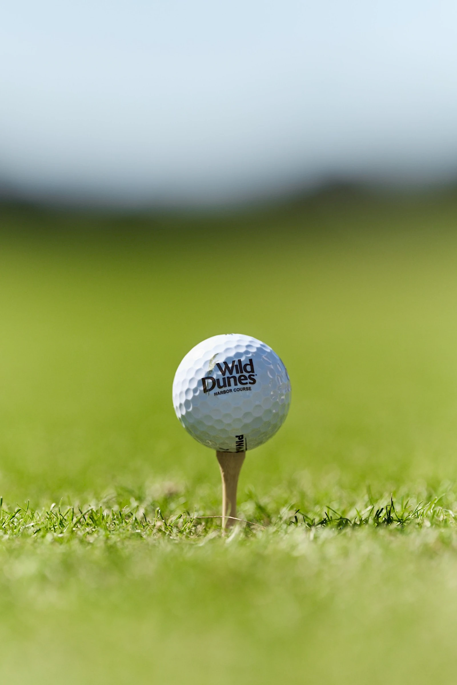 A golf ball sits on a tee in a lush green fairway, ready for a precise drive, with a blurred blue sky backdrop.
