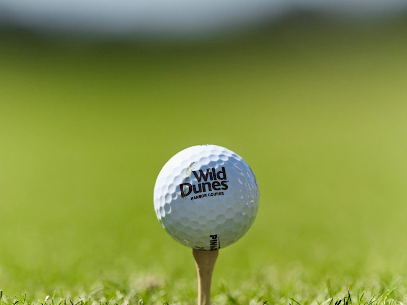 A golf ball sits on a tee in a lush green fairway, ready for a precise drive, with a blurred blue sky backdrop.