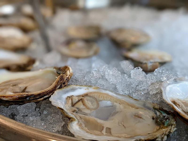 Oysters from Oystercatcher